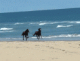 /album/fenykepgaleria/liberte-c-gif/